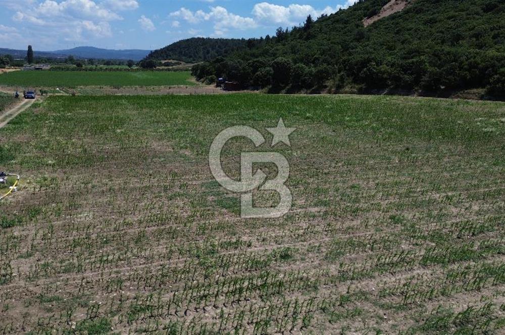 ÇANAKKALE MERKEZ HALİLELİ KÖYÜNDE SATILIK TARLA