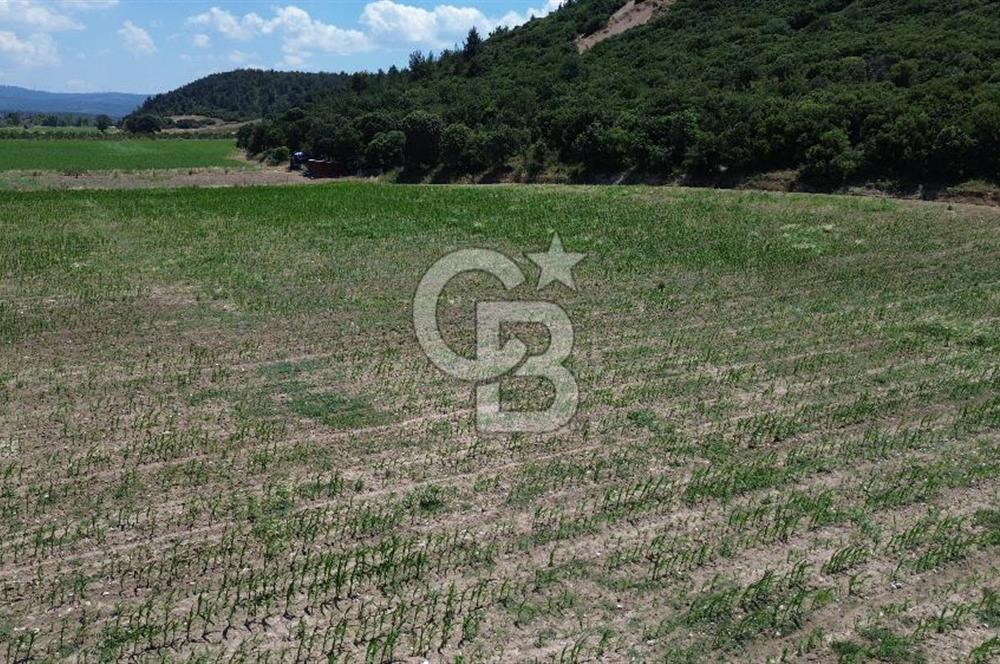 ÇANAKKALE MERKEZ HALİLELİ KÖYÜNDE SATILIK TARLA