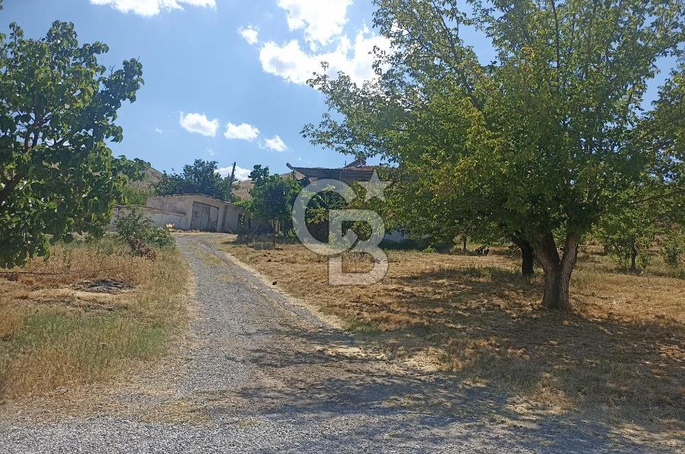 COLDWELL BANKER SAFİR'den KAPIKAYA DA 60.619m² TARLA VE 3+1 EV