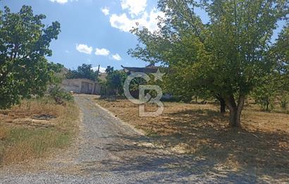 COLDWELL BANKER SAFİR'den KAPIKAYA DA 60.619m² TARLA VE 3+1 EV