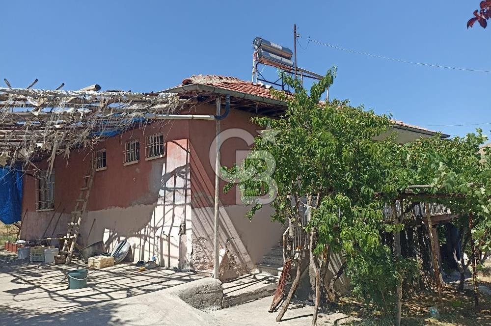 COLDWELL BANKER SAFİR'den KAPIKAYA DA 60.619m² TARLA VE 3+1 EV
