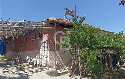 COLDWELL BANKER SAFİR'den KAPIKAYA DA 60.619m² TARLA VE 3+1 EV
