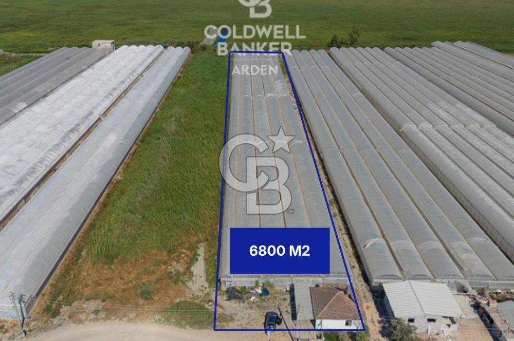 CB ARDEN'DEN KINIK OVA DA SATILIK MÜSTAKİL PARSEL SERA VE EVİ