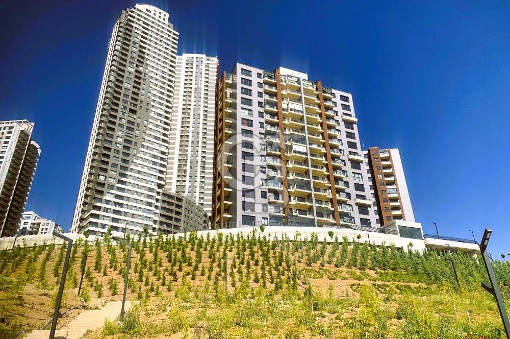 SİNPAŞ OKSİJEN ORANDA VADİ MANZARLI SATILIK 2+1 DAİRE