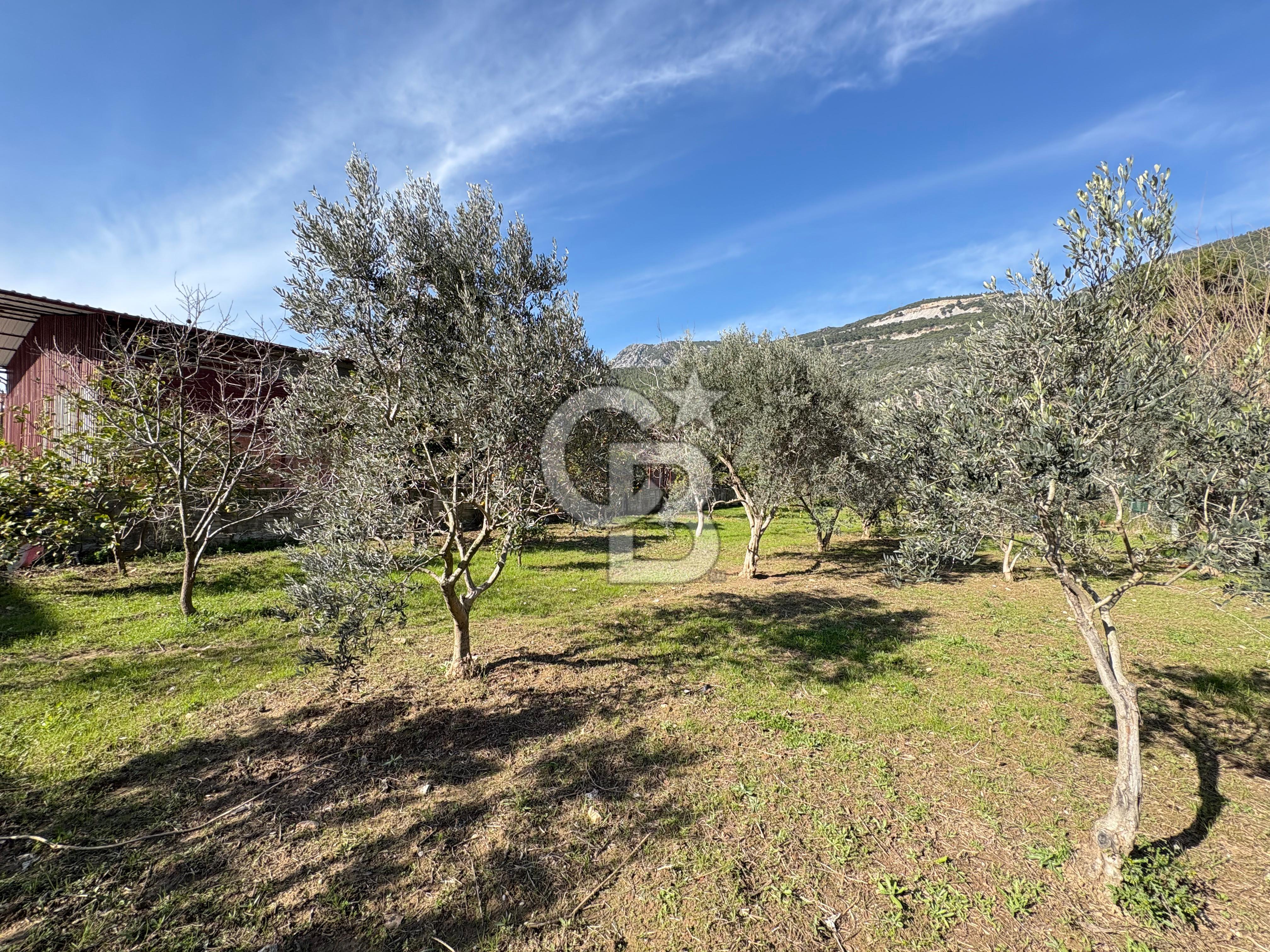 Gökova'da Satılık Villa İmarlı Arsa 