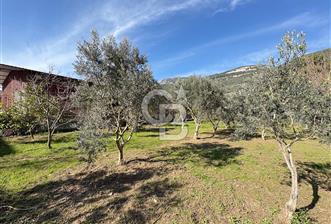 Gökova'da Satılık Villa İmarlı Arsa  - 9 - 355729