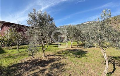 Gökova'da Satılık Villa İmarlı Arsa 