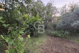 Algı'da Satılık Köyiçi İmarlı Arsa - 10 - 355725
