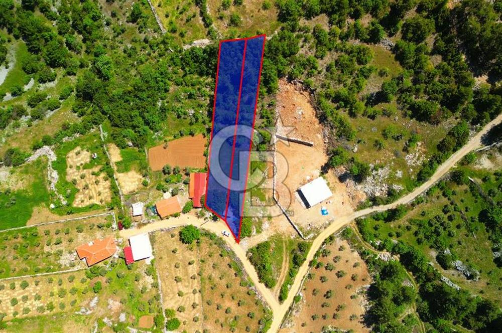 Muğla denizovada satılık tarla