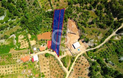 Muğla denizovada satılık tarla