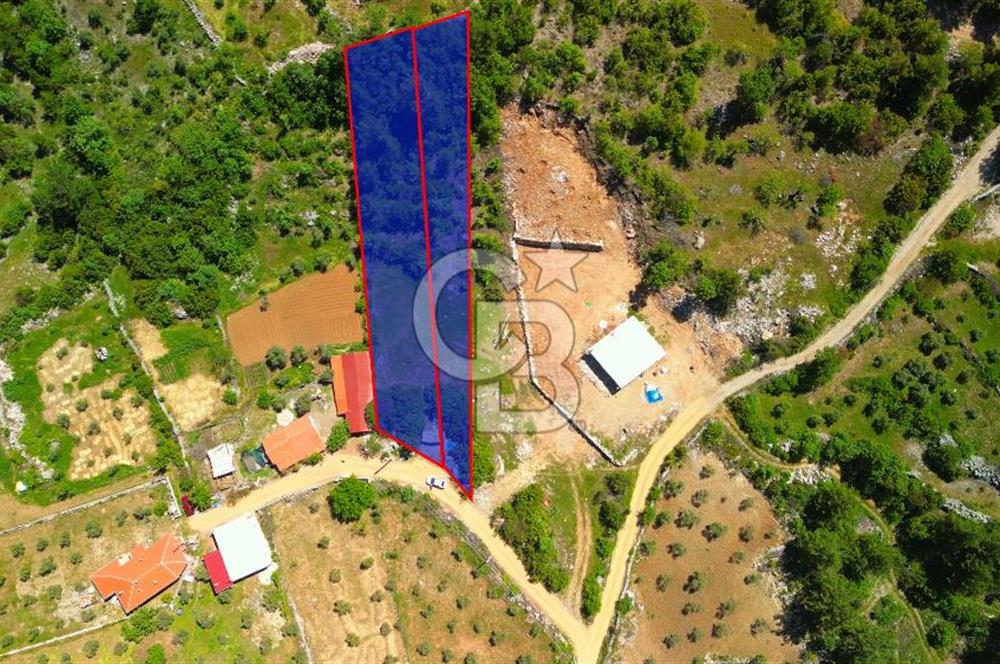Muğla denizovada satılık tarla