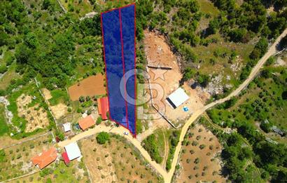 Muğla denizovada satılık tarla