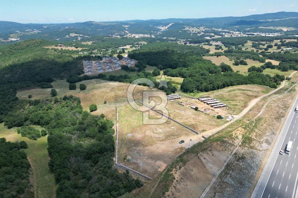 GEBZE KADILLI'DA SATILIK 7.831 M² ARAZİ