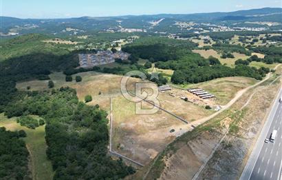 GEBZE KADILLI'DA SATILIK 7.831 M² ARAZİ