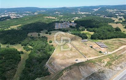 GEBZE KADILLI'DA SATILIK 7.831 M² ARAZİ