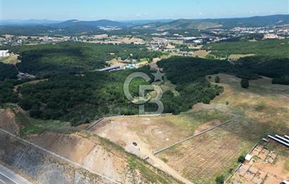 GEBZE KADILLI'DA SATILIK 7.831 M² ARAZİ
