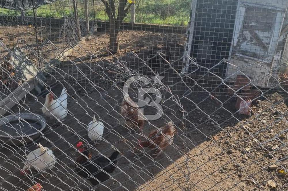 Şaşal Mah.de satılık 1230 m2 içerisinde 3+1 ve 50m2lik 1+1 daire