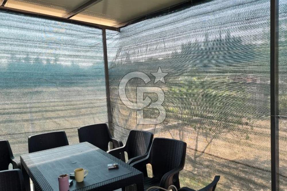Şaşal Mah.de satılık 1230 m2 içerisinde 3+1 ve 50m2lik 1+1 daire