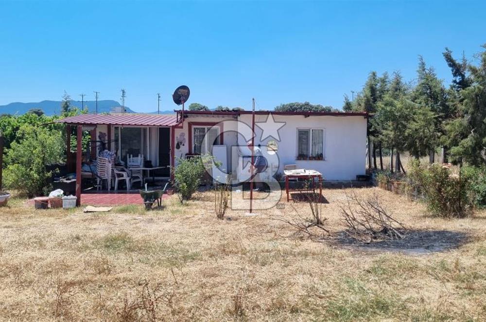Şaşal Mah.de satılık 1230 m2 içerisinde 3+1 ve 50m2lik 1+1 daire