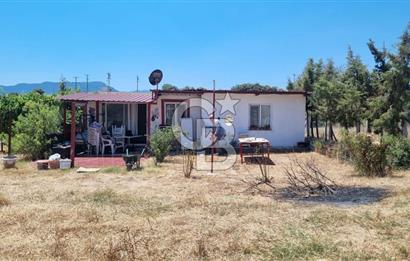 Şaşal Mah.de satılık 1230 m2 içerisinde 3+1 ve 50m2lik 1+1 daire