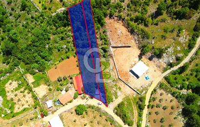 Muğla denizovada satılık tarla