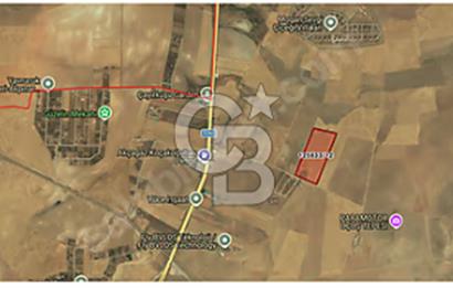 GÖLBAŞI-YAVRUCUK-Haymana Yoluna 500 mt - 4.384 m2 TARLA HİSSESİ