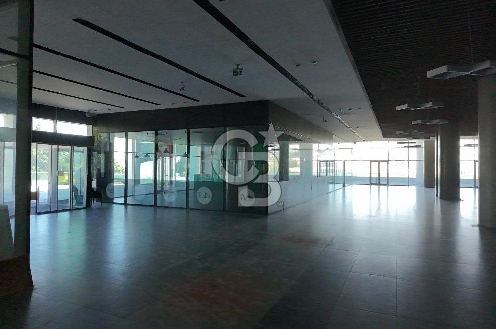 ŞEKERPINAR RAMADA OTELİNE BAĞLI  5000M2 KİRALIK DÜKKAN-MAĞAZA-DEPO