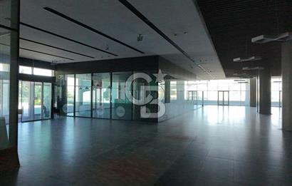 ŞEKERPINAR RAMADA OTELİNE BAĞLI  5000M2 KİRALIK DÜKKAN-MAĞAZA-DEPO