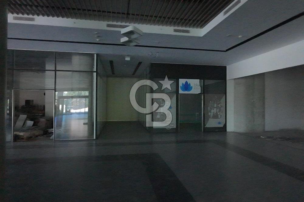 ŞEKERPINAR RAMADA OTELİNE BAĞLI  5000M2 KİRALIK DÜKKAN-MAĞAZA-DEPO