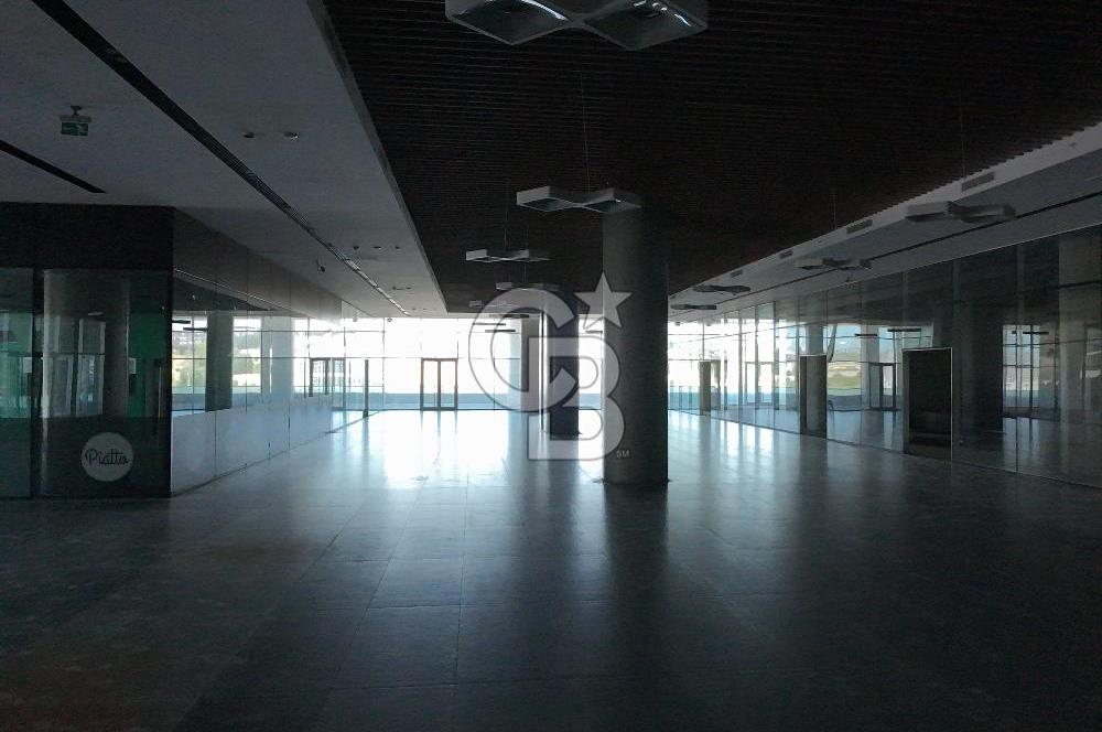 ŞEKERPINAR RAMADA OTELİNE BAĞLI  5000M2 KİRALIK DÜKKAN-MAĞAZA-DEPO