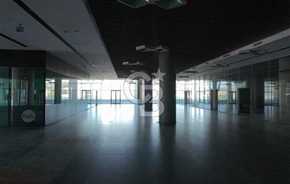 ŞEKERPINAR RAMADA OTELİNE BAĞLI  5000M2 KİRALIK DÜKKAN-MAĞAZA-DEPO