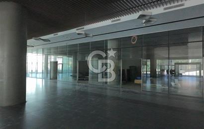 ŞEKERPINAR RAMADA OTELİNE BAĞLI  5000M2 KİRALIK DÜKKAN-MAĞAZA-DEPO