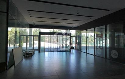ŞEKERPINAR RAMADA OTELİNE BAĞLI  5000M2 KİRALIK DÜKKAN-MAĞAZA-DEPO