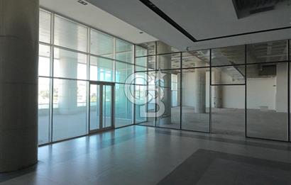 ŞEKERPINAR RAMADA OTELİNE BAĞLI  5000M2 KİRALIK DÜKKAN-MAĞAZA-DEPO
