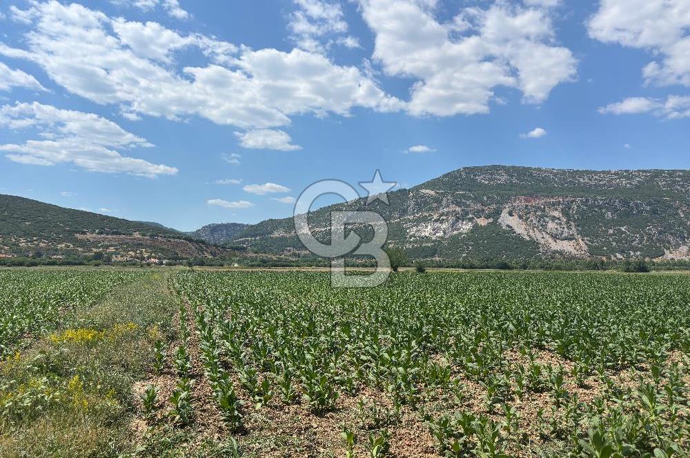 Muğla Karabağlar yaylasında satılık tarla