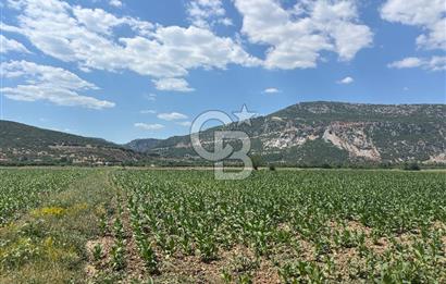 Muğla Karabağlar yaylasında satılık tarla