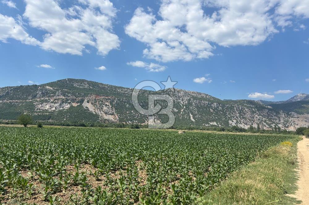 Muğla Karabağlar yaylasında satılık tarla