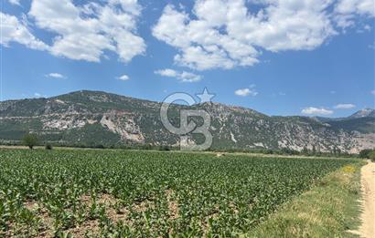 Muğla Karabağlar yaylasında satılık tarla