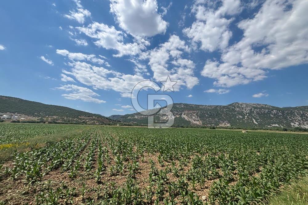 Muğla Karabağlar yaylasında satılık tarla