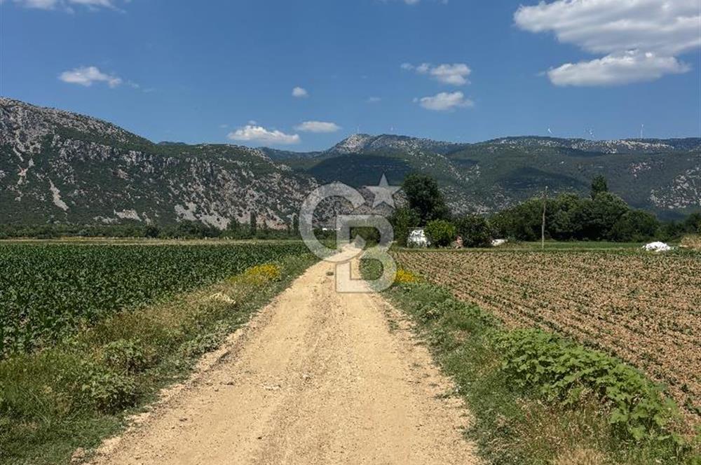 Muğla Karabağlar yaylasında satılık tarla