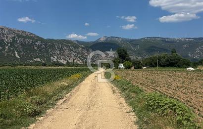 Muğla Karabağlar yaylasında satılık tarla