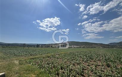 Muğla Karabağlar yaylasında satılık tarla