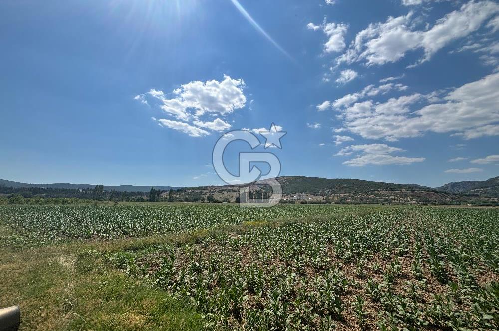 Muğla Karabağlar yaylasında satılık tarla