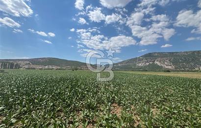 Muğla Karabağlar yaylasında satılık tarla