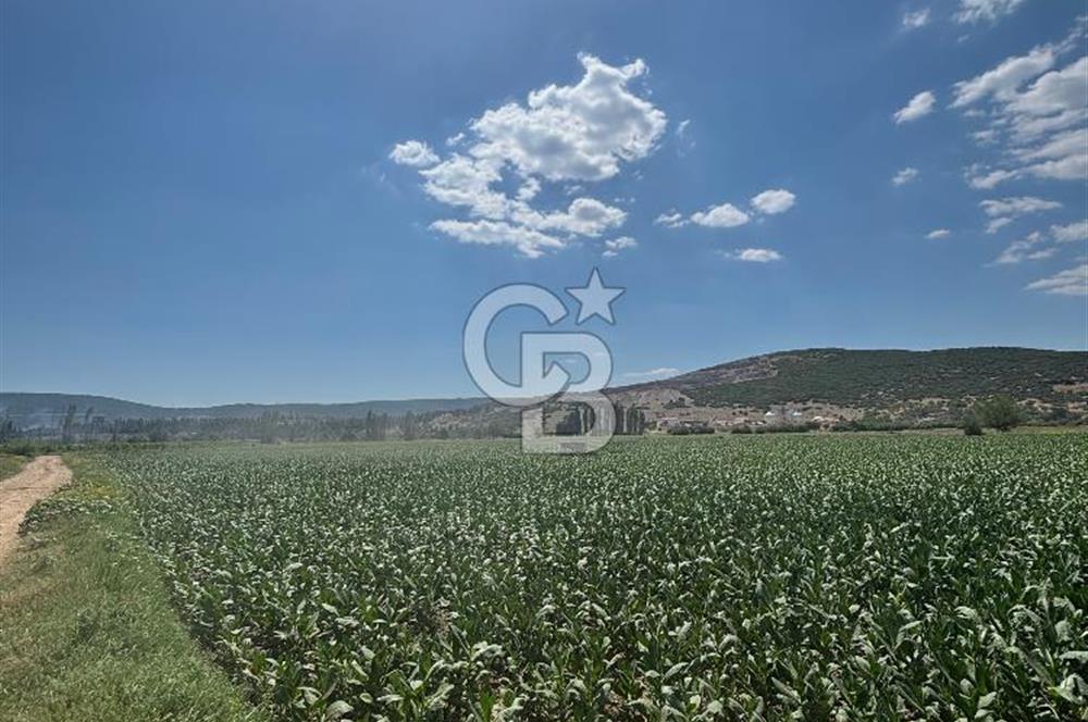 Muğla Karabağlar yaylasında satılık tarla