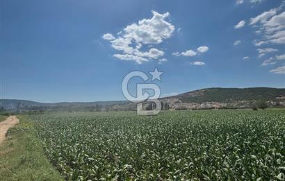 Muğla Karabağlar yaylasında satılık tarla