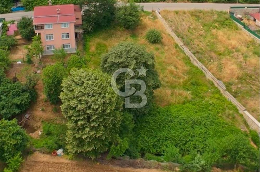 Beykoz Anadolufenerinde 803 m² 0.20 Konut İmarlı Satılık Arsa