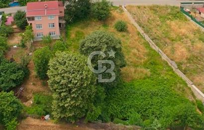 Beykoz Anadolufenerinde 803 m² 0.20 Konut İmarlı Satılık Arsa
