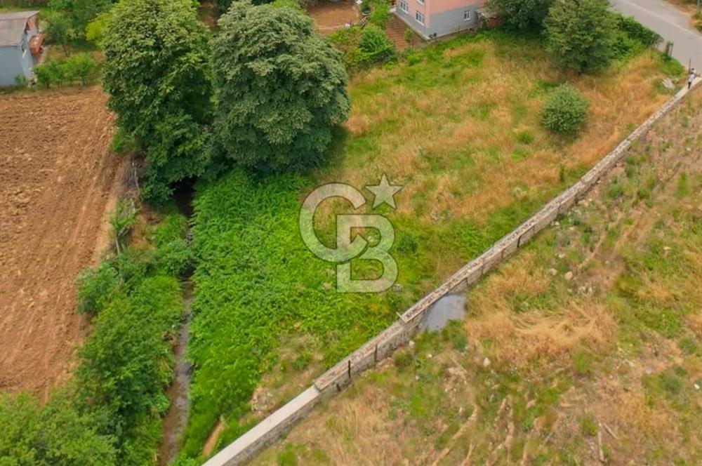 Beykoz Anadolufenerinde 803 m² 0.20 Konut İmarlı Satılık Arsa