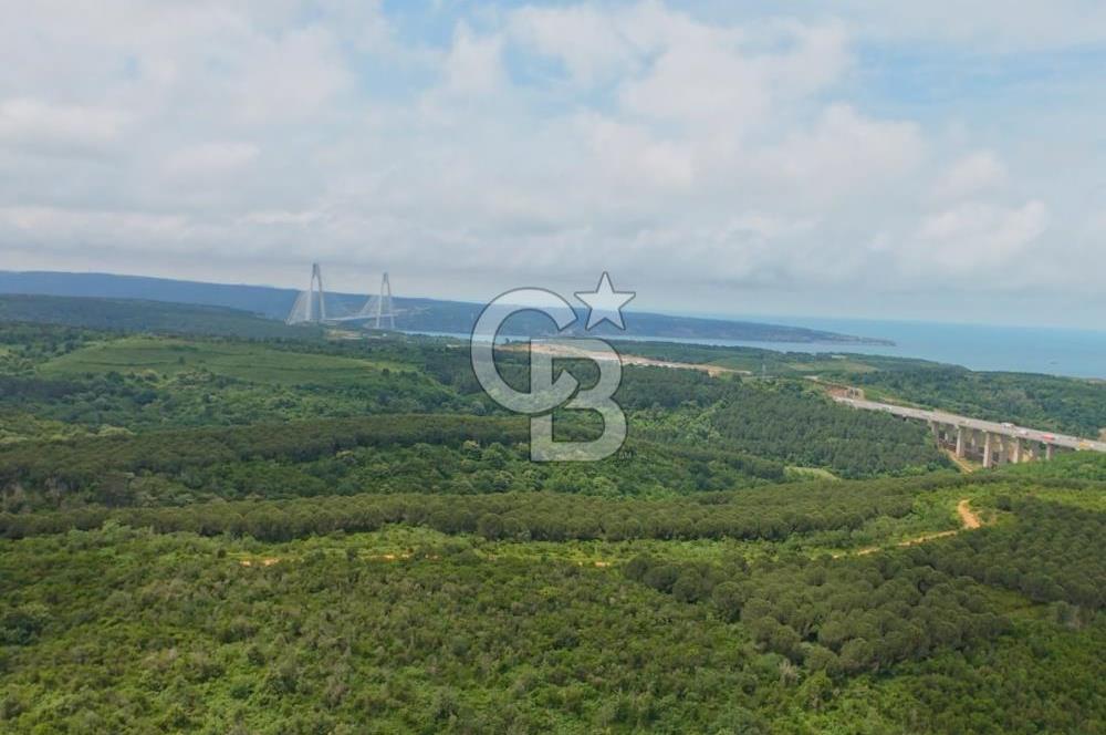 Beykoz Anadolufenerinde 803 m² 0.20 Konut İmarlı Satılık Arsa